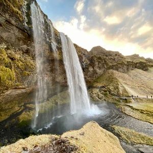 Meet your Posher, Domonique